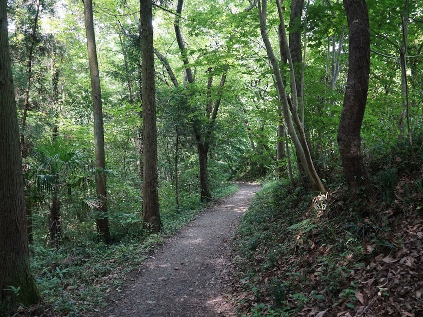 和銅露天掘り跡