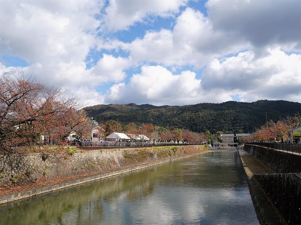 琵琶湖疎水若王子山を望む