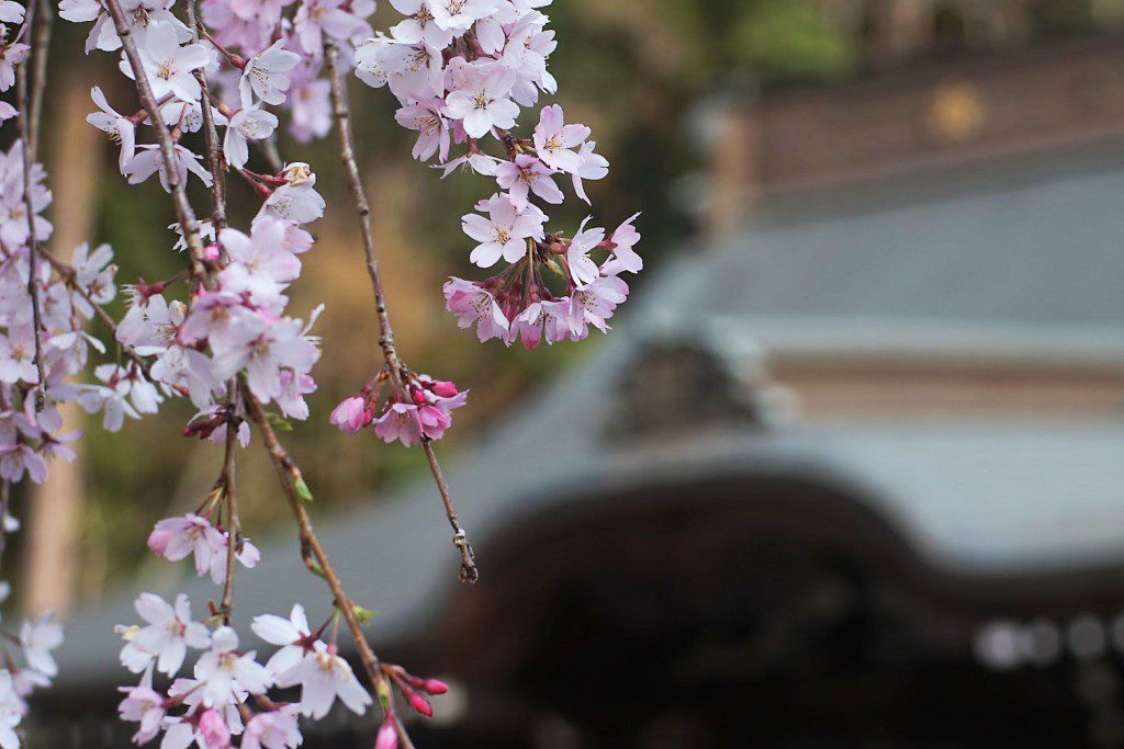 梅岩寺