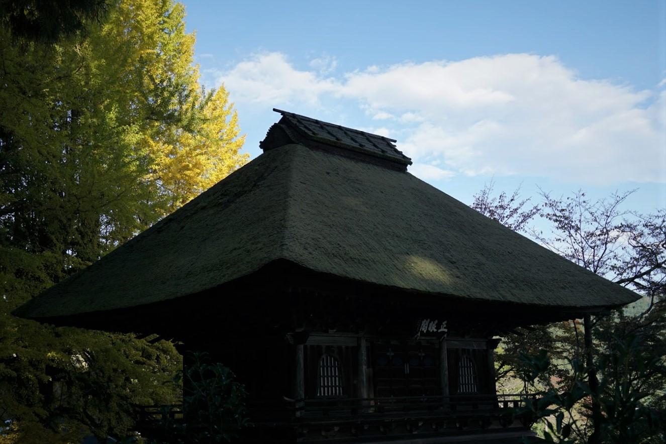 あきる野 五日市 広徳寺 イチョウ
