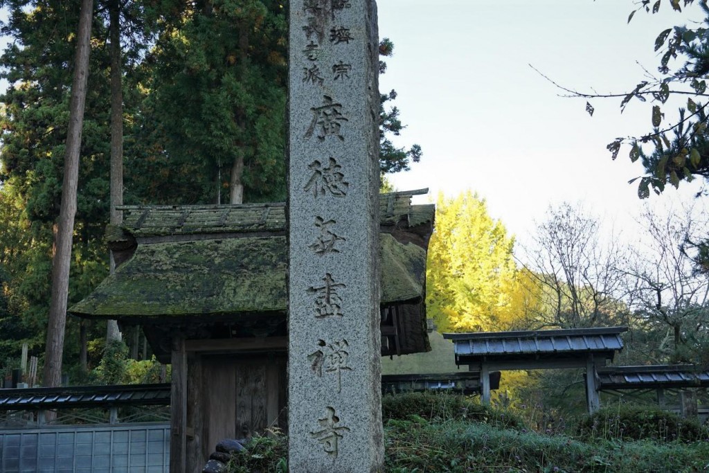 あきる野 五日市 広徳寺 イチョウ