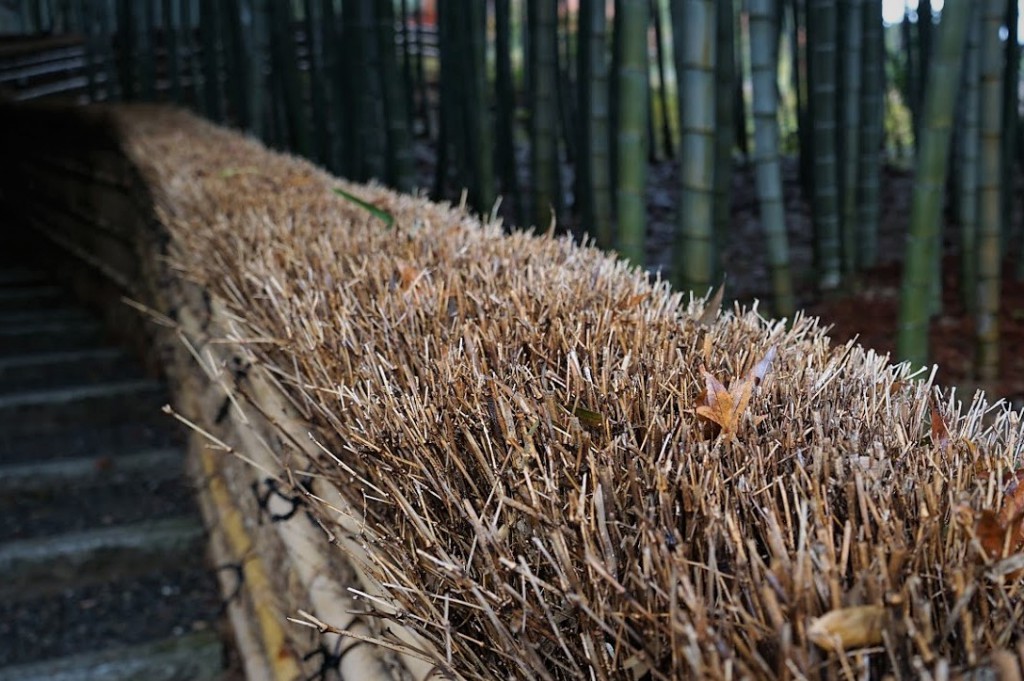 化野念仏寺 竹林