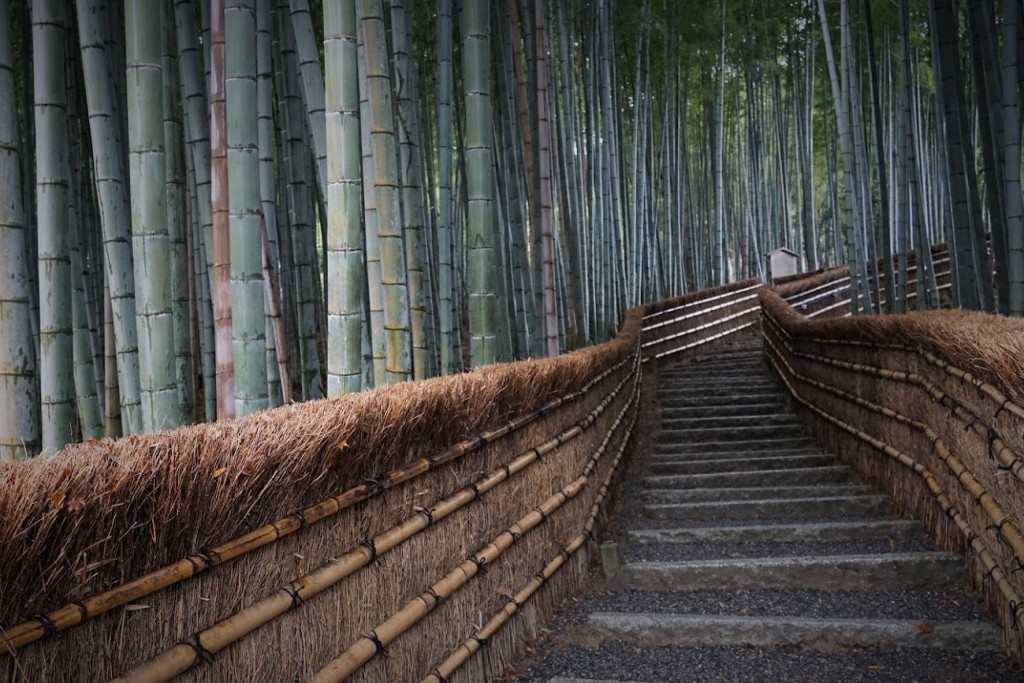 化野念仏寺 竹林 階段