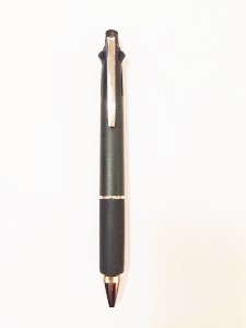 IMG_3174-225x300