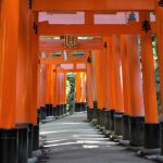 伏見稲荷大社鳥居