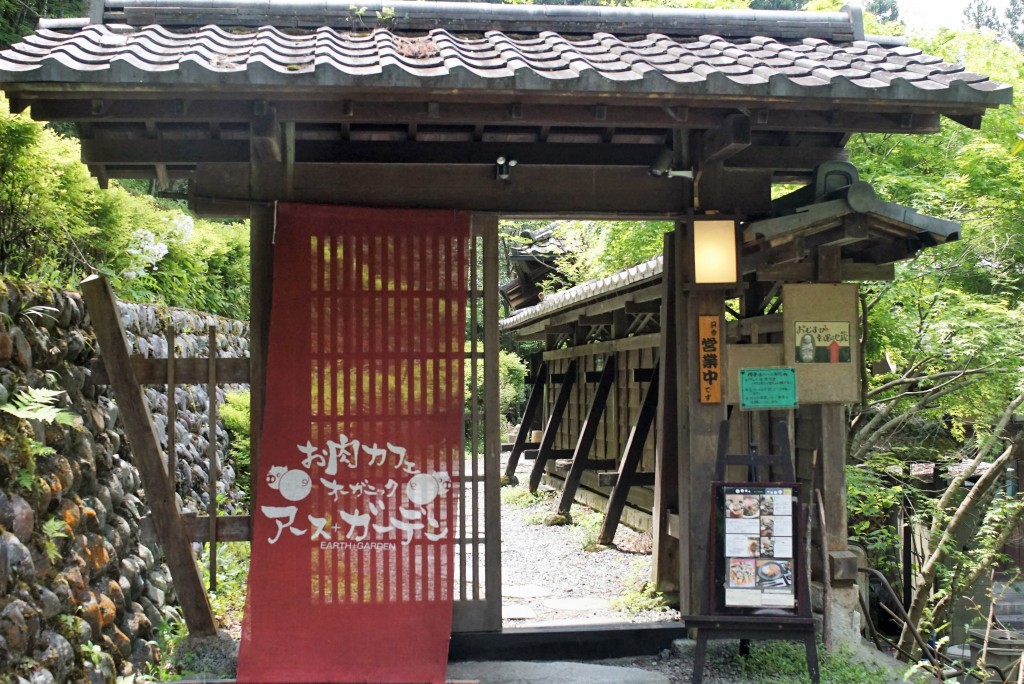 DSC01962 (2)