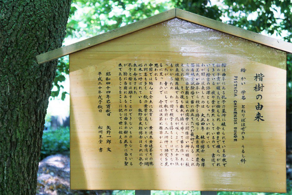 湯島聖堂楷の木の由来