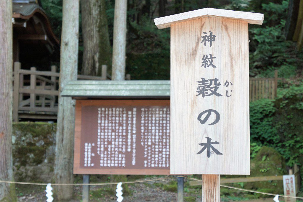 諏訪大社上社本宮　神紋　穀