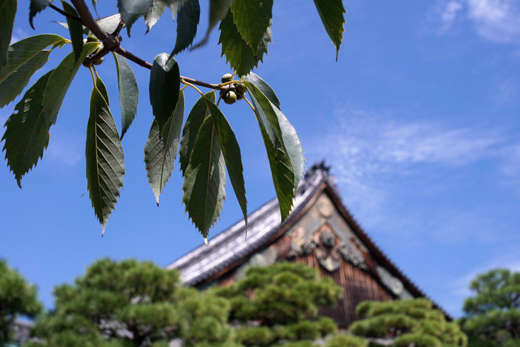 二条城　二の丸　秋の空