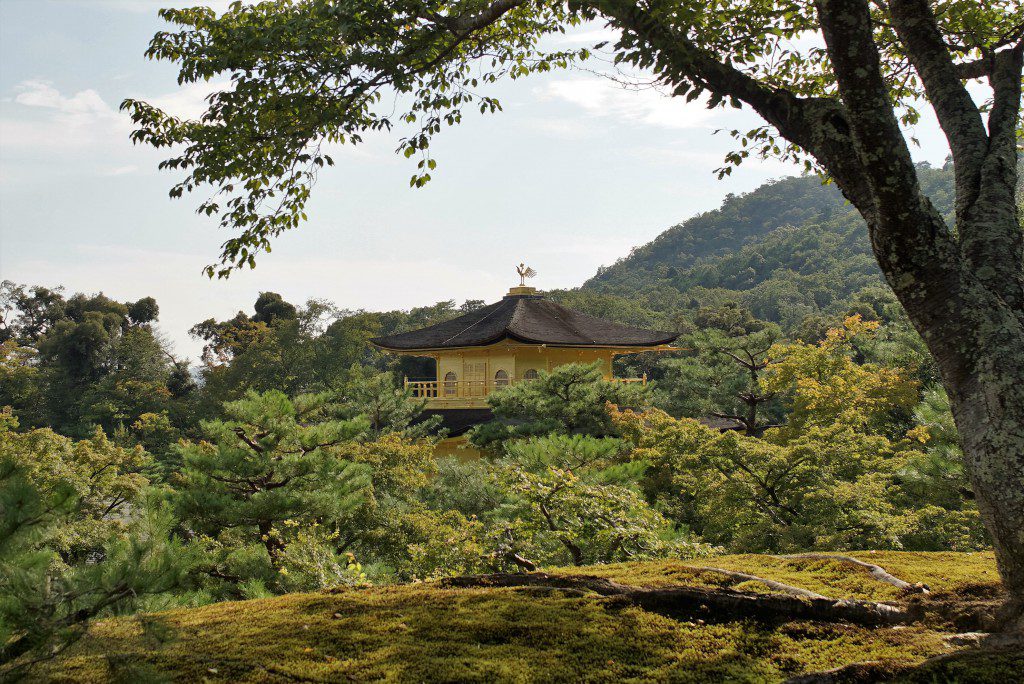 京都　金閣寺　鳳凰
