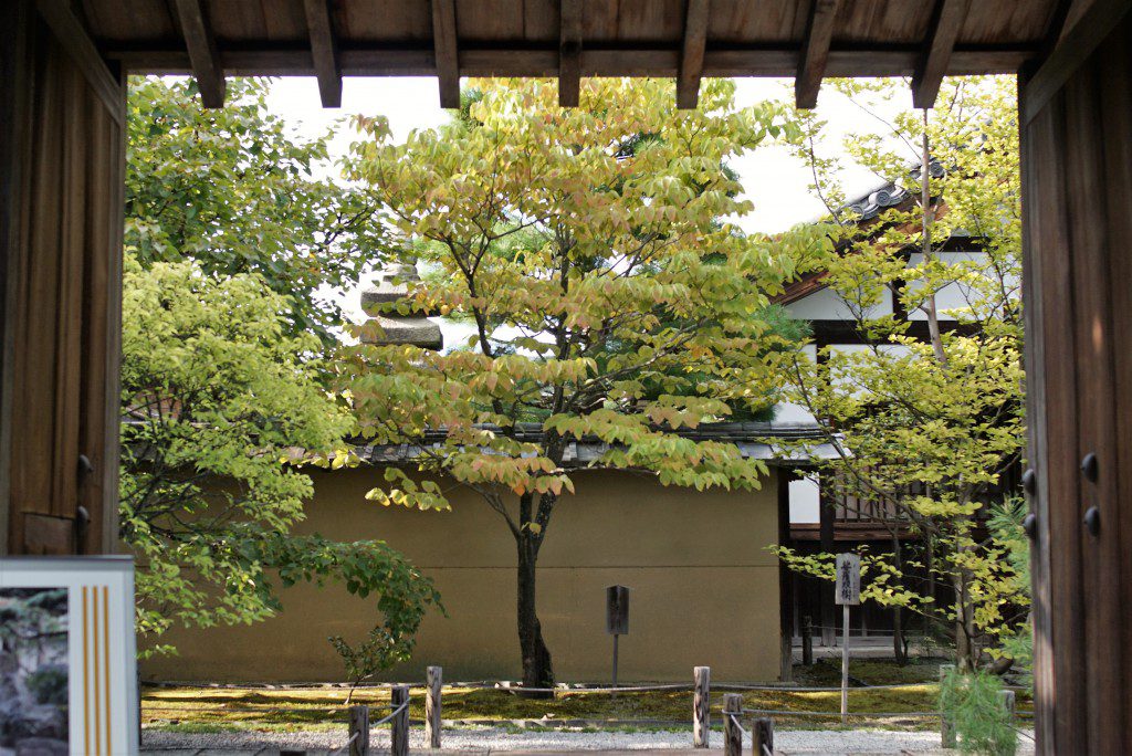 大徳寺　大仙院　門から