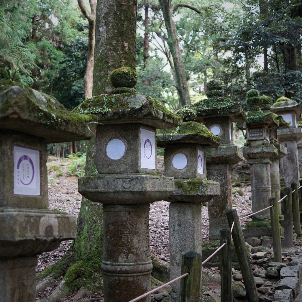 春日大社　灯籠