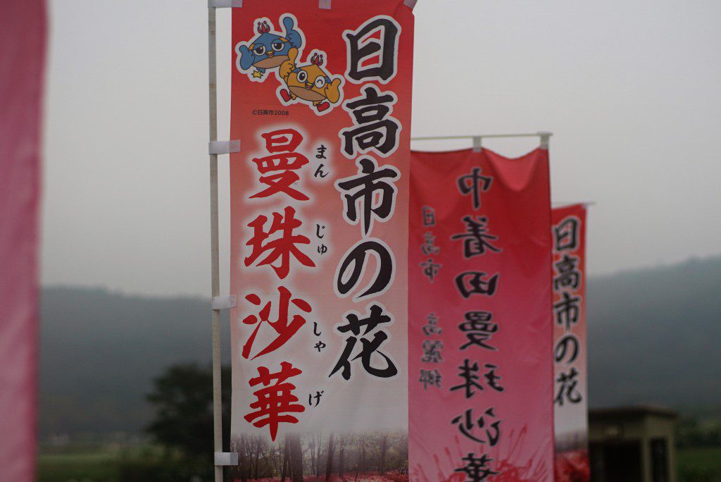 巾着田