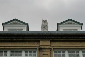 鳩山会館　フクロウ