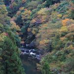 奥多摩　紅葉　2016