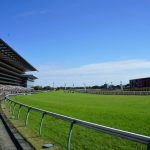 東京競馬場　ストレート