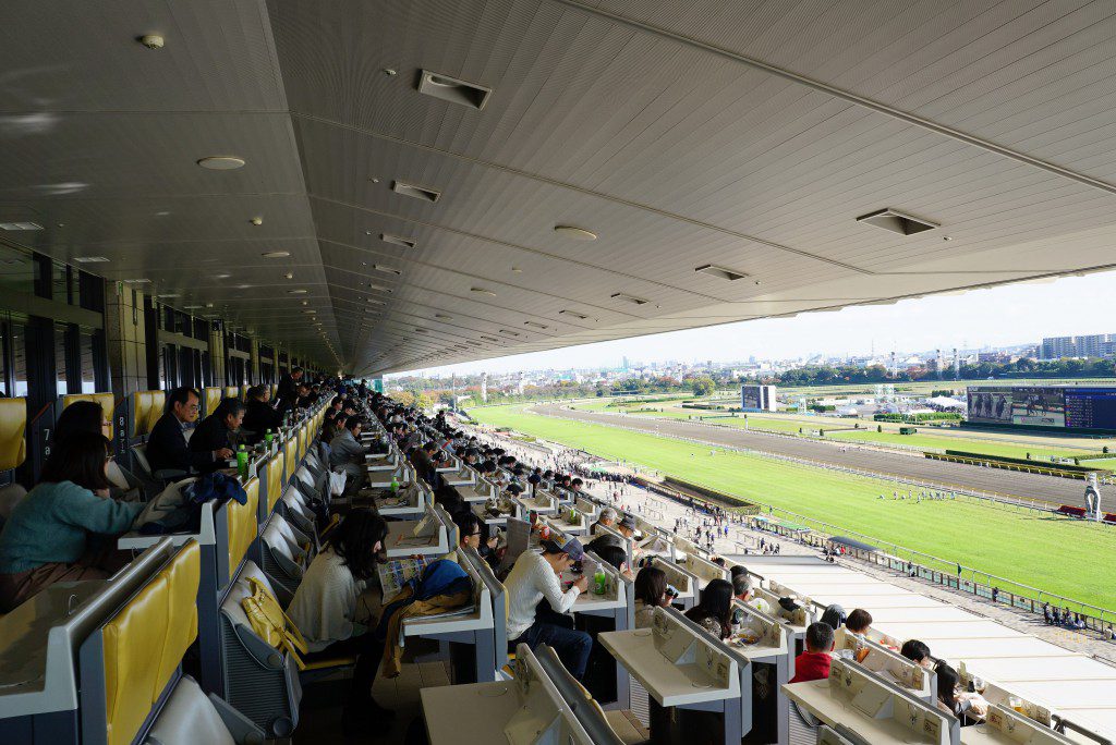 東京競馬場６階観覧席