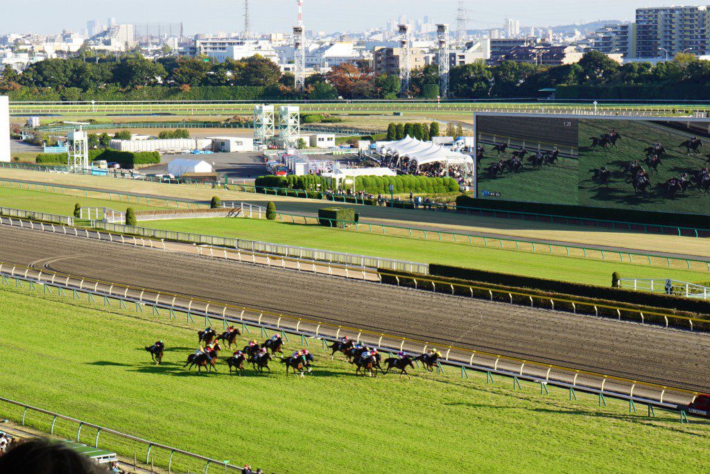 東京競馬場　レース