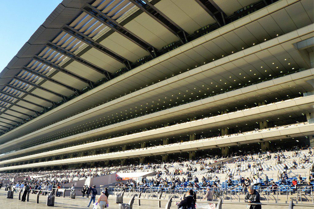 東京競馬場メインスタンド屋根