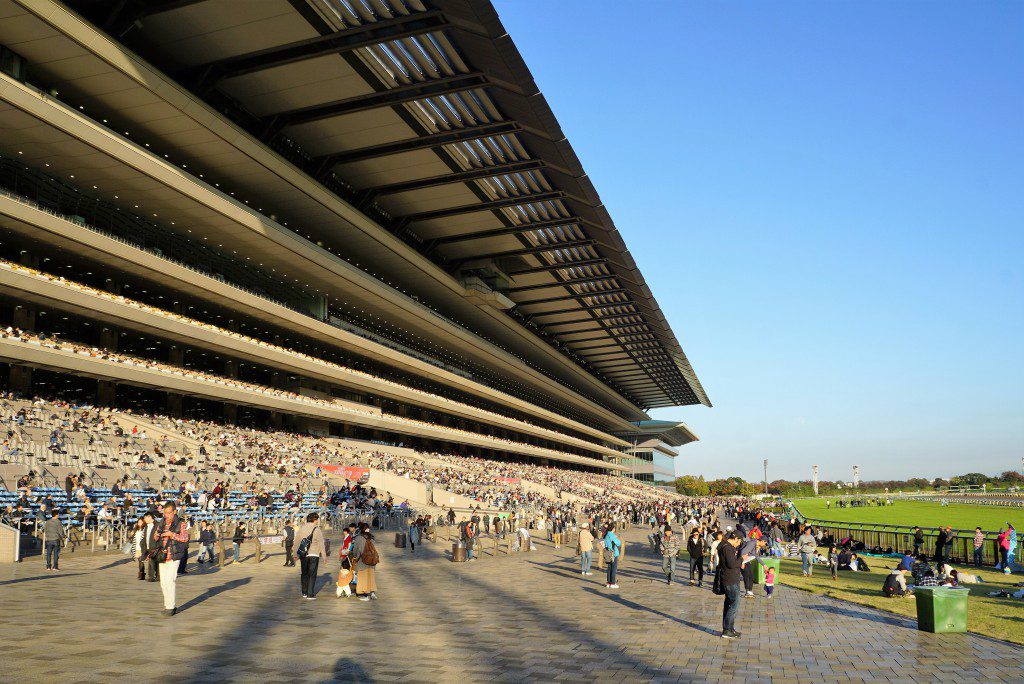 東京競馬場メインスタンド