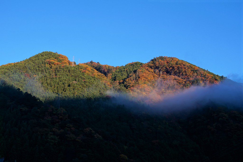 奥多摩紅葉