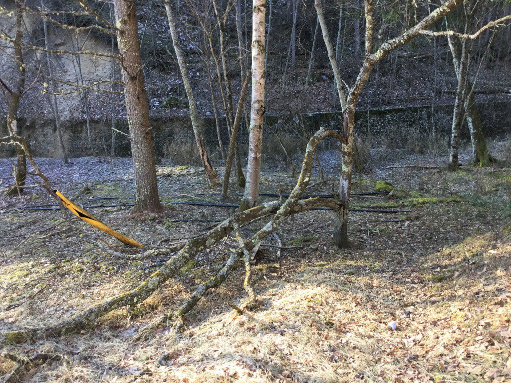 一ノ瀬高橋　廃墟