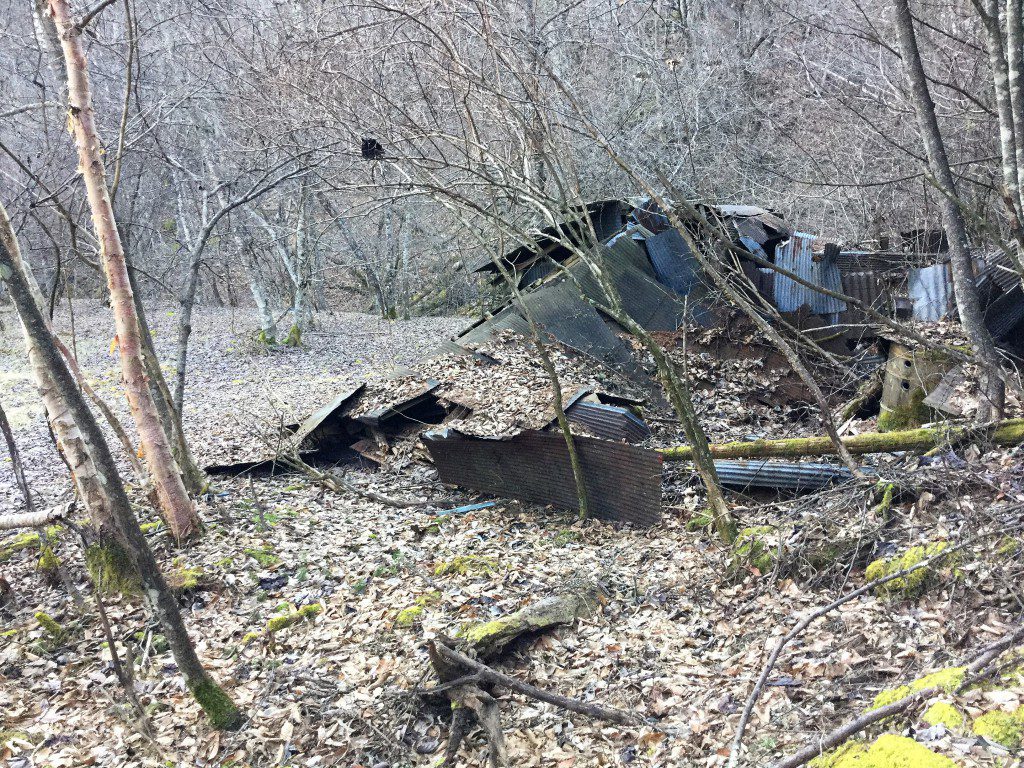 怖いもの見たさの廃墟写真ブログ 山梨県甲州市塩山 Part２ 風が福左右衛門