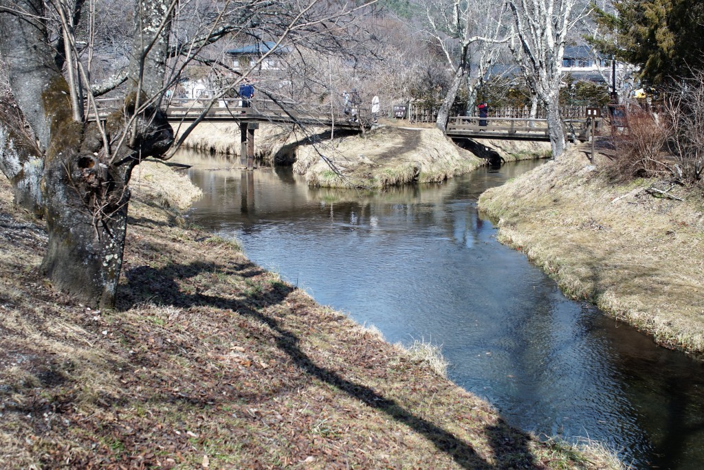 忍野八海