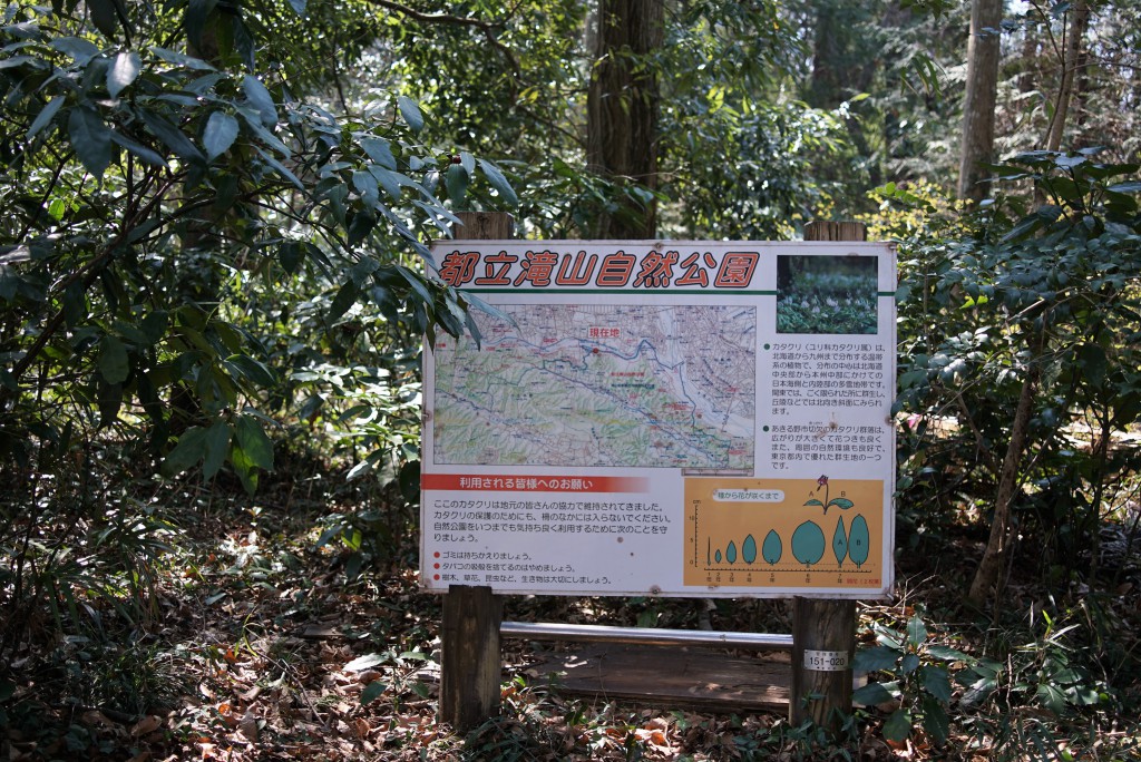 都立滝山自然公園