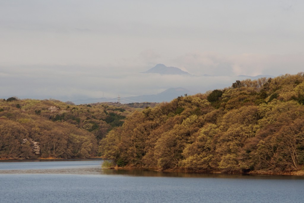 狭山湖からの大岳山