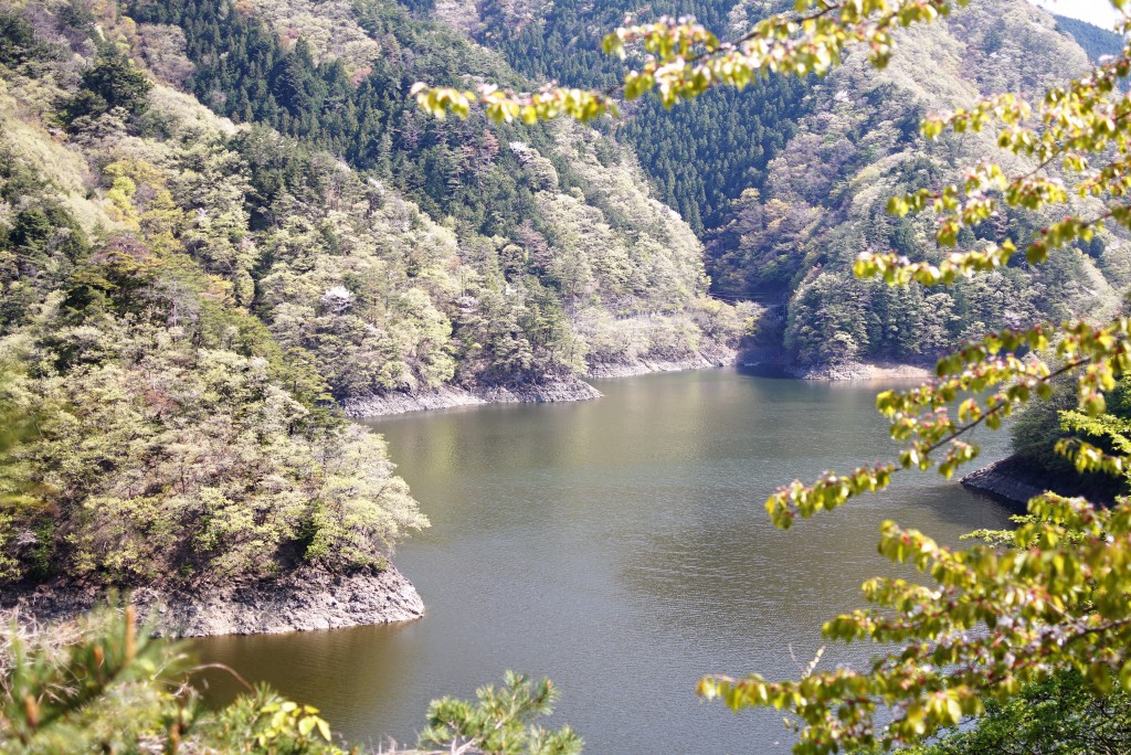 小河内神社