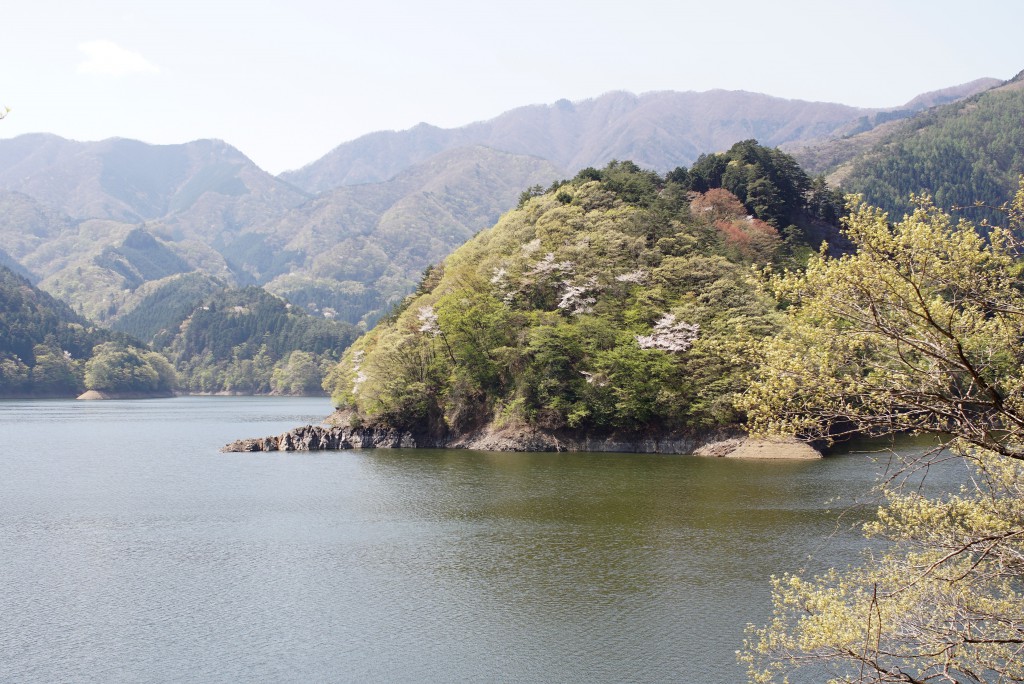 新緑の奥多摩湖