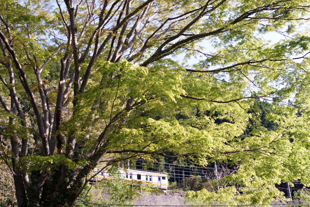 奥多摩せせらぎの里美術館から青梅線