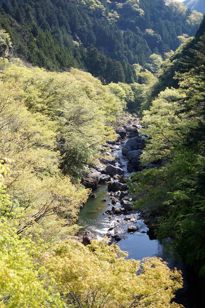 奥多摩むかし道惣岳渓谷