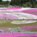 羊山公園