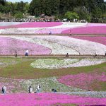 羊山公園