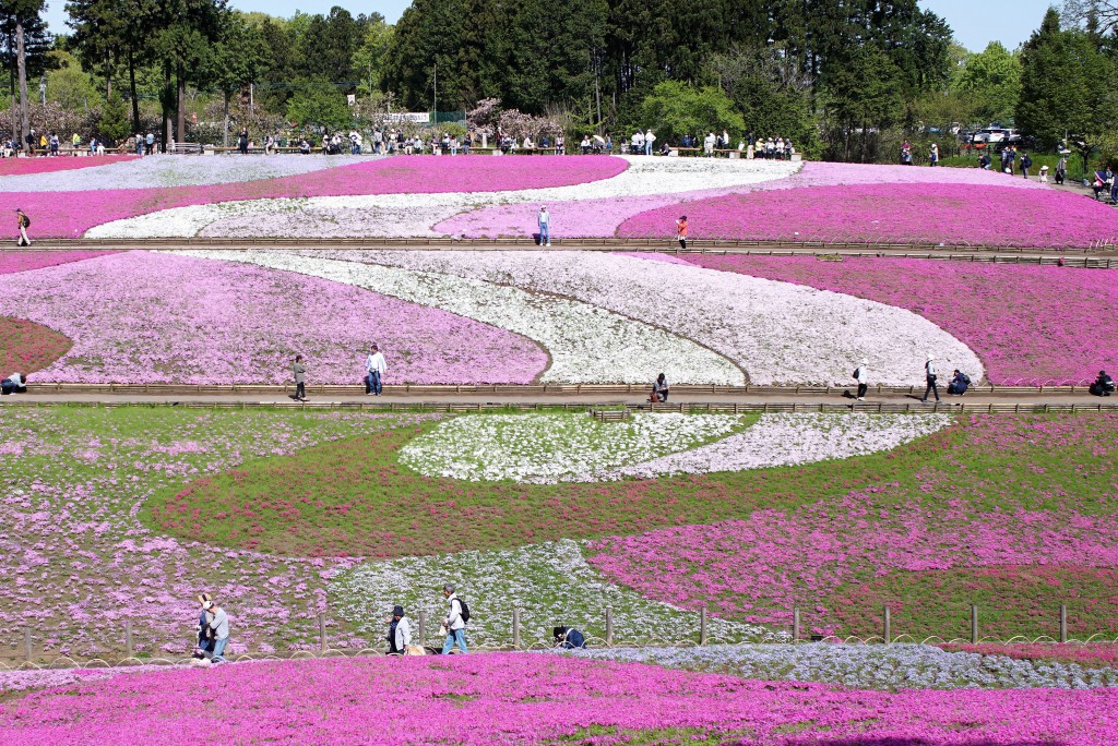 羊山公園