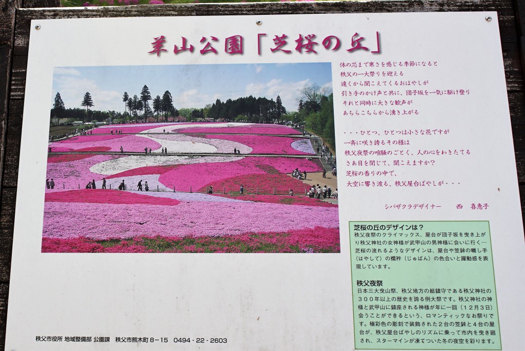 羊山公園　芝桜の丘