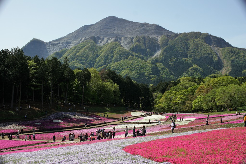 羊山公園　武甲山