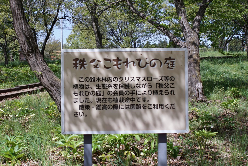 羊山公園　秩父こもれびの庭