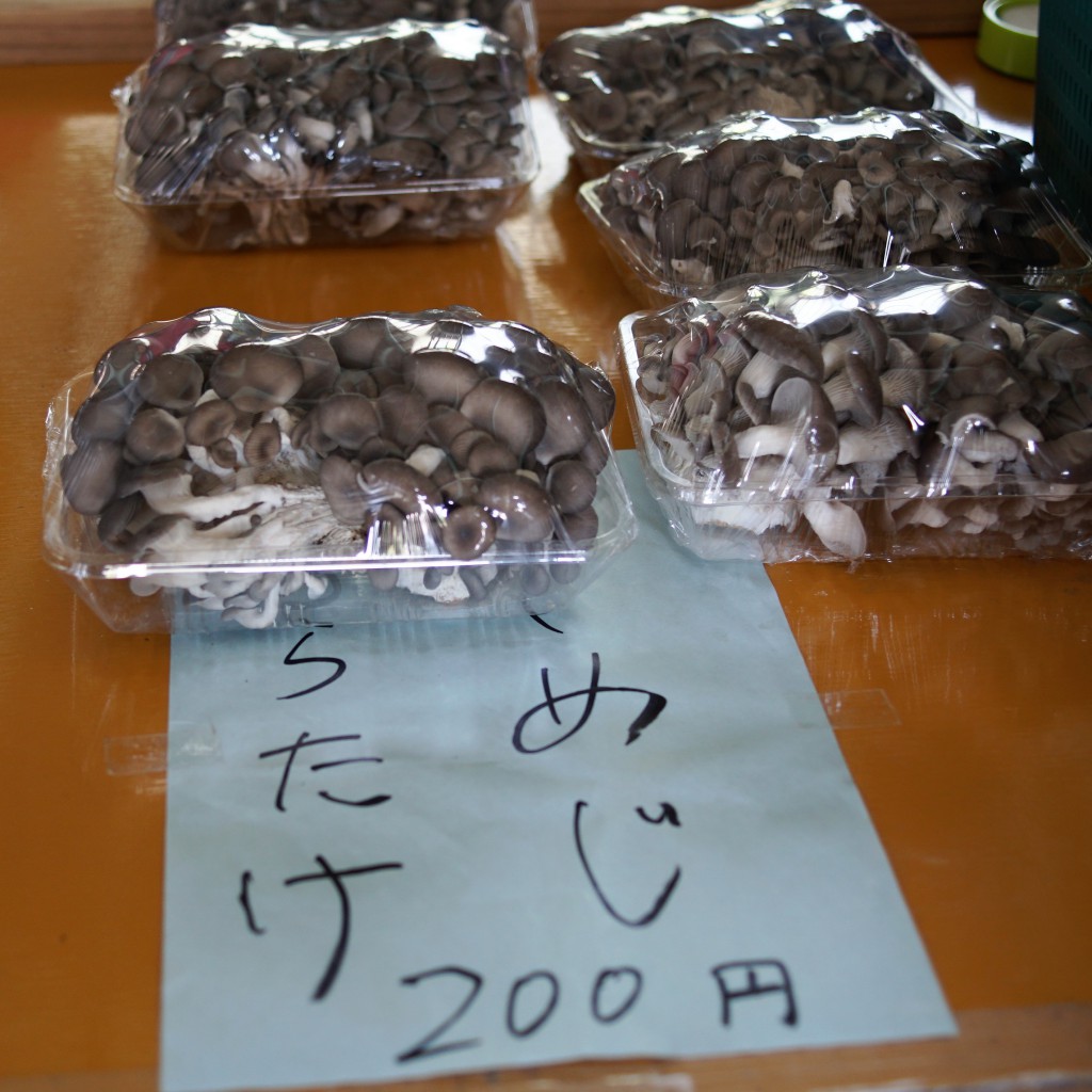 羊山公園　しめじ