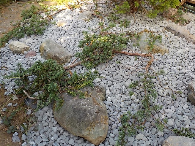 除草シートを使ったロックガーデン