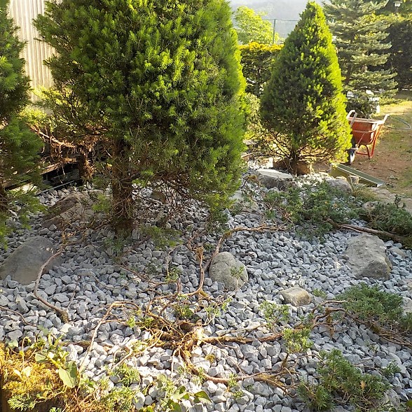 除草シートを使ったロックガーデン