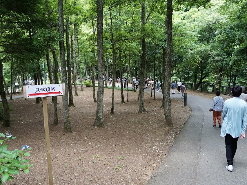 亀岩の洞窟（濃溝の滝）アプローチ