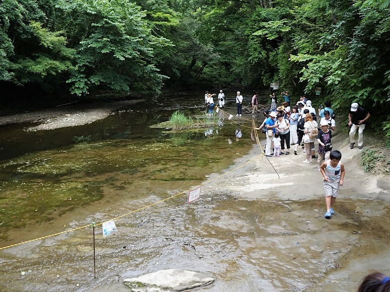 亀岩の洞窟（濃溝の滝）