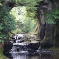 亀岩の洞窟（濃溝の滝）