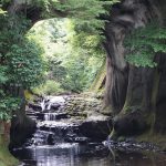 亀岩の洞窟（濃溝の滝）