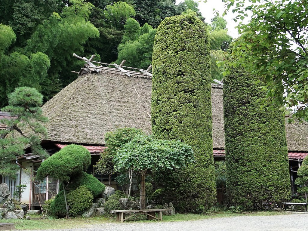 埼玉県飯能市　竹寺