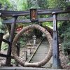 埼玉県飯能市　竹寺