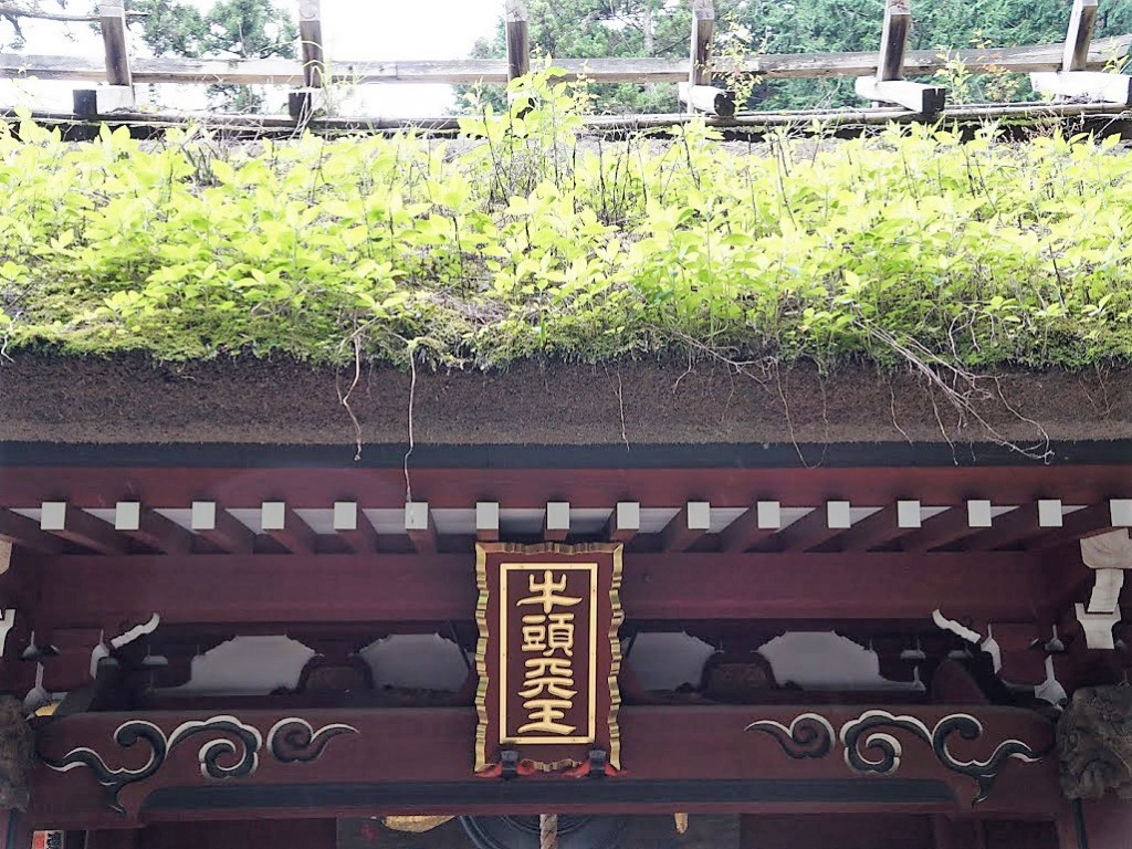 埼玉県飯能市　竹寺